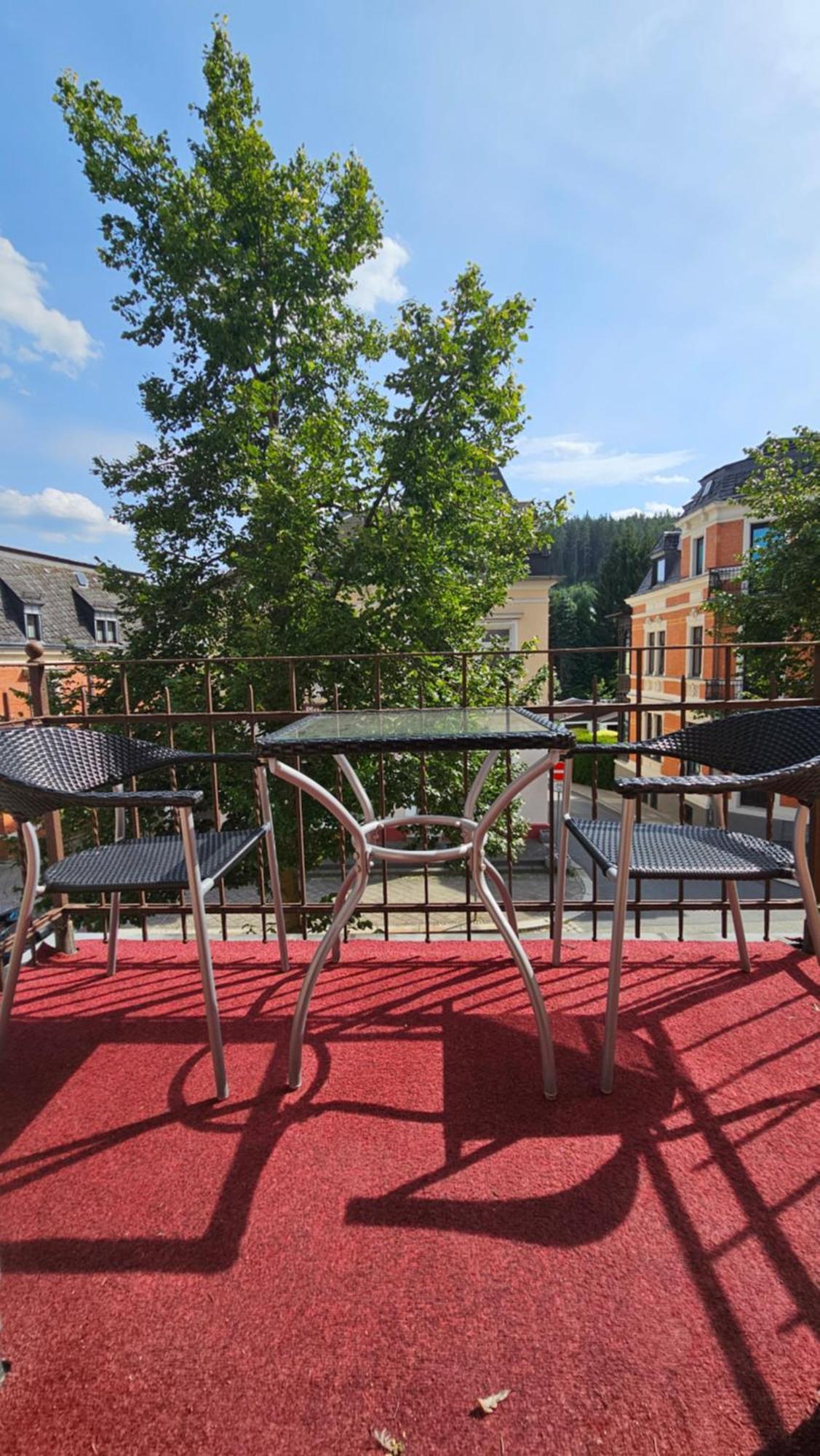 Pension Weisse Rose, Parkplatz, Fruehstueck, Wlan, Zentral Бад-Эльстер Экстерьер фото