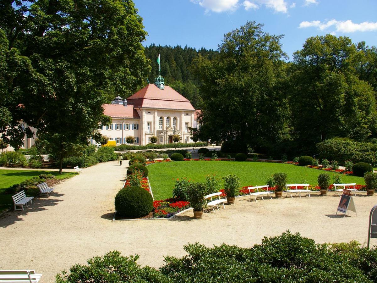 Pension Weisse Rose, Parkplatz, Fruehstueck, Wlan, Zentral Бад-Эльстер Экстерьер фото